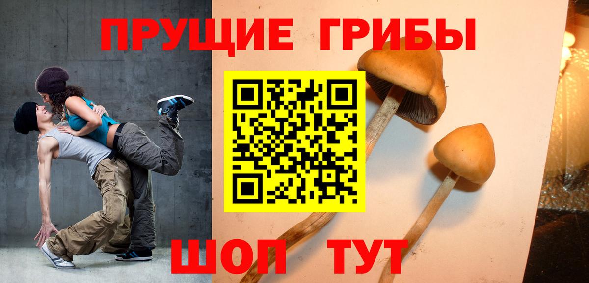 Галлюциногенные грибы GOLDEN TEACHER Заводоуковск