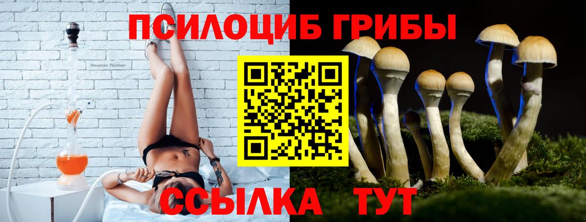 Галлюциногенные грибы Magic Shrooms  Вход с VPN  Галлюциногенные грибы MAGIC MUSHROOMS  Заводоуковск 