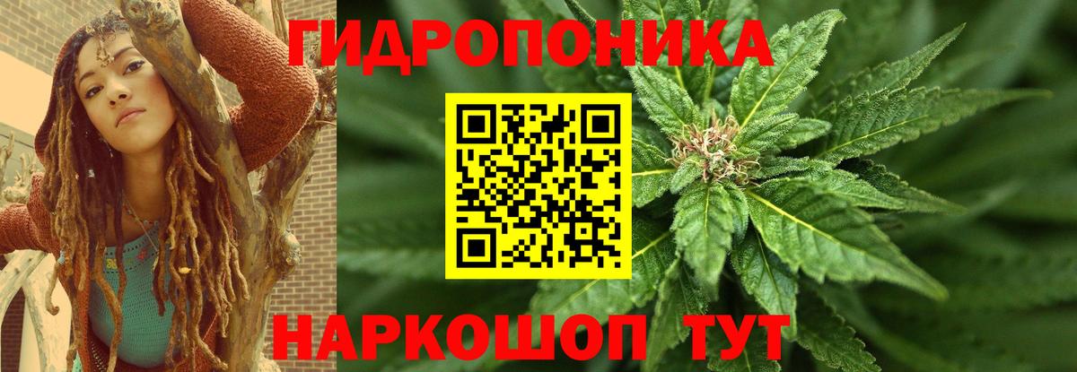 Шишки марихуана White Widow Заводоуковск
